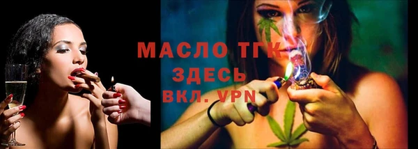 индика Михайловка