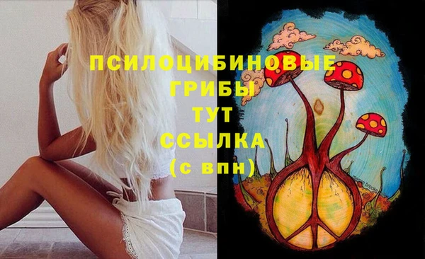 индика Михайловка