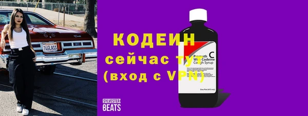индика Михайловка