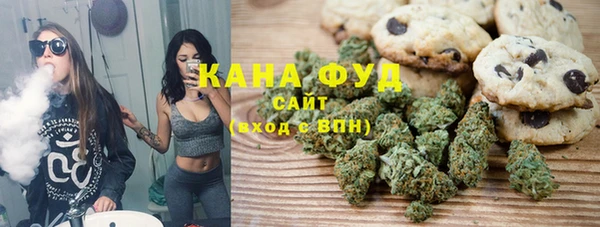 индика Михайловка